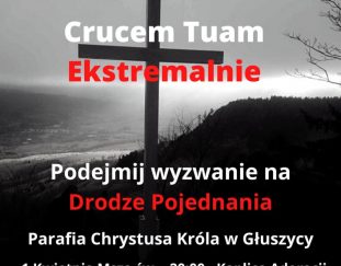 crucem-tuam