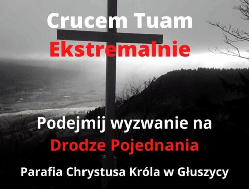 crucem-tuam